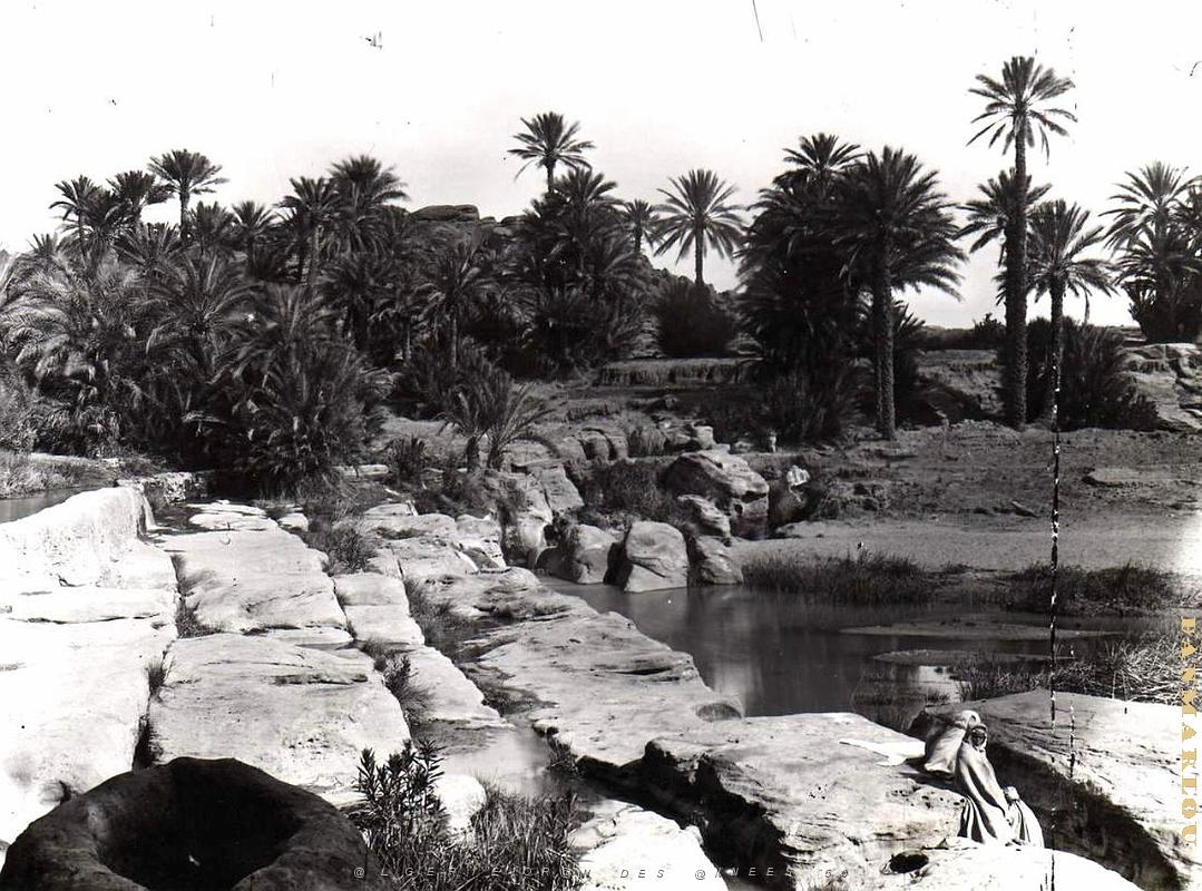 Ain sefra 032-Collection Monneret.JPG